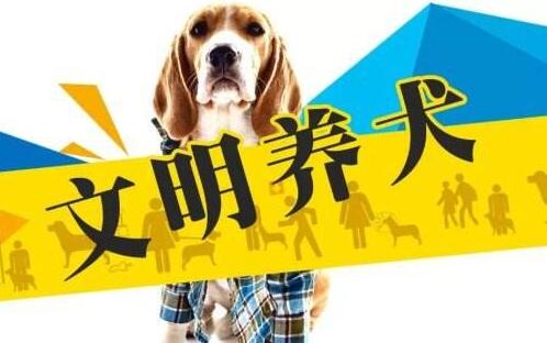 常德市养犬管理条例全文