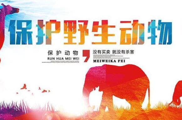 重庆市野生动物保护规定全文