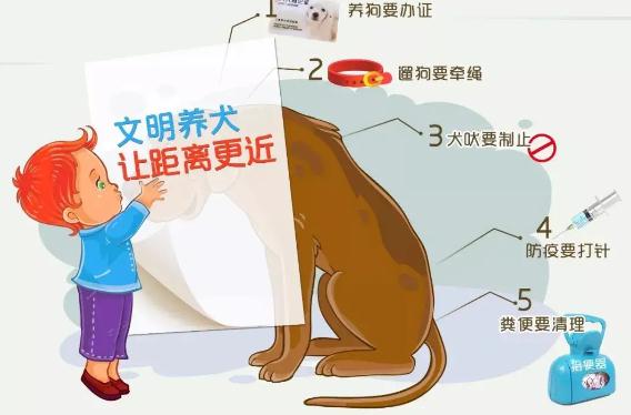 北京市养犬管理规定2022