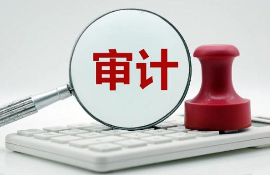 上海市审计条例最新