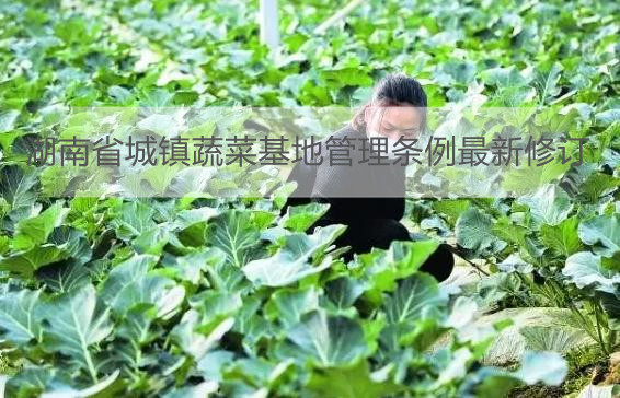 湖南省城镇蔬菜基地管理条例最新修订