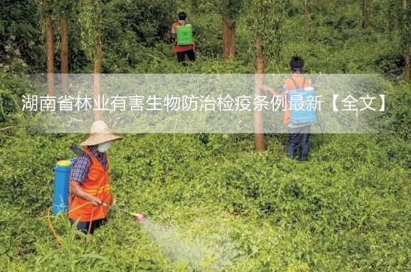 湖南省林业有害生物防治检疫条例最新【全文】