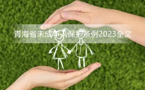 青海省未成年人保护条例2023全文