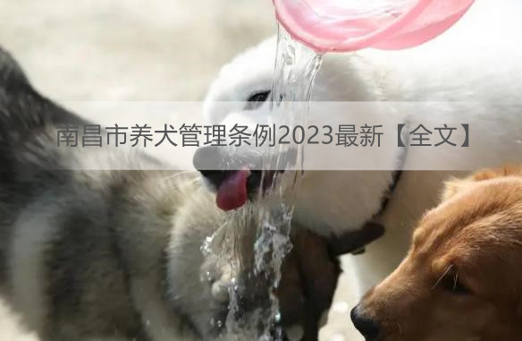 南昌市养犬管理条例2023最新【全文】