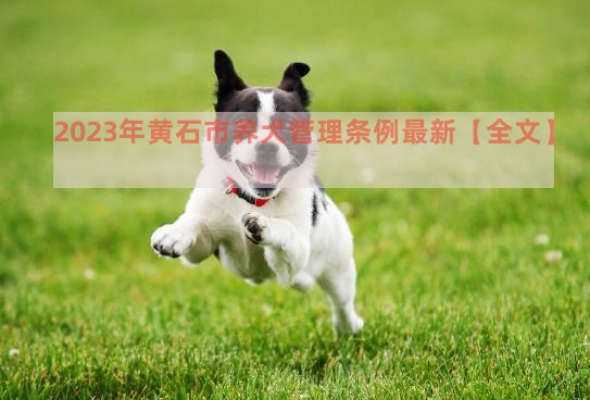 2023年黄石市养犬管理条例最新【全文】