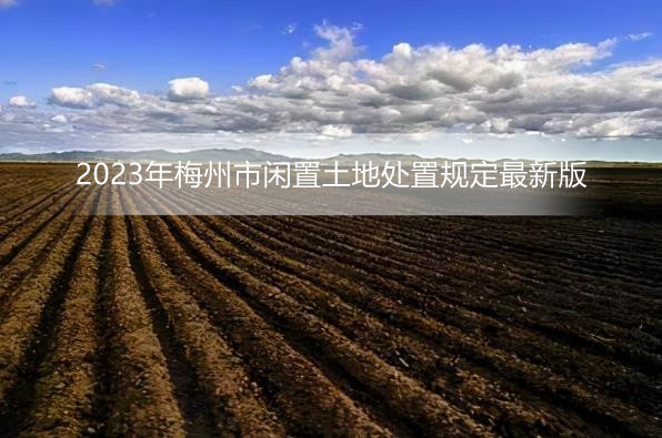 2023年梅州市闲置土地处置规定最新版