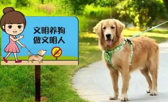 2023年哈尔滨市养犬管理条例最新版【全文】