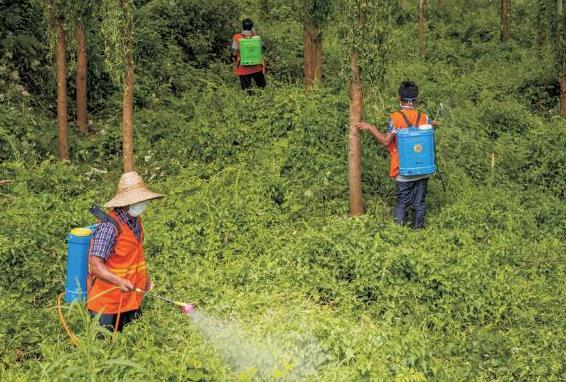 2023年陕西省林业有害生物防治检疫条例最新版【全文】