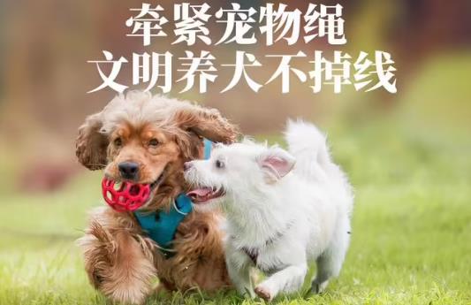 2023年珠海经济特区养犬管理条例最新修正【全文】