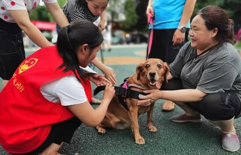 郑州市城市养犬管理条例