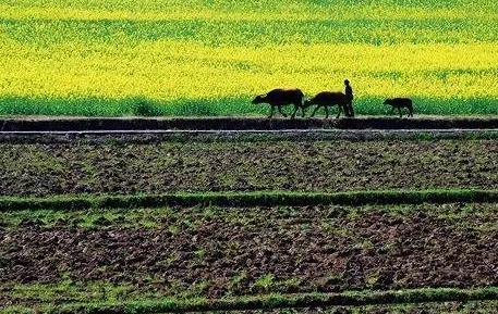 齐齐哈尔市土地管理条例最新