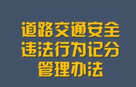 深圳经济特区道路交通安全违法行为处罚条例最新