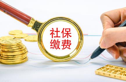 江苏省社会保险费征缴条例2024最新