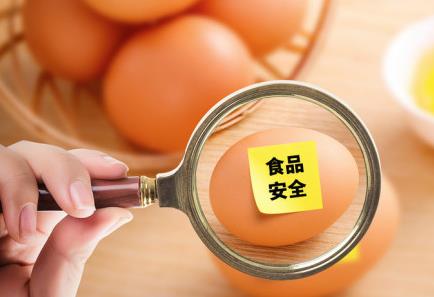 2024年广东省食品安全条例最新【全文】