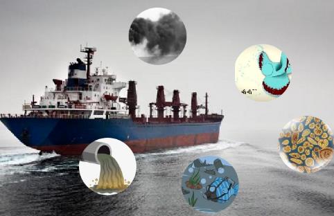 防治船舶污染海洋环境管理条例最新