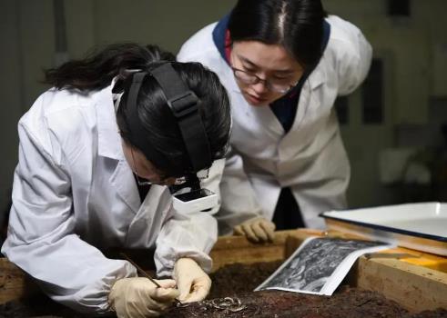 中华人民共和国文物保护法实施条例最新版