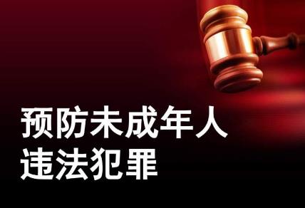 中华人民共和国预防未成年人犯罪法2024修订