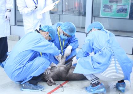 中华人民共和国动物防疫法修订2024年全文