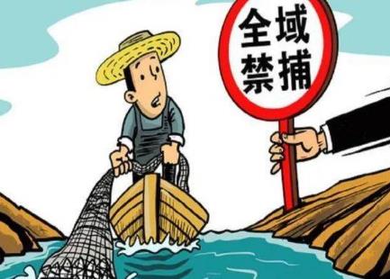 中华人民共和国渔业法最新版2024