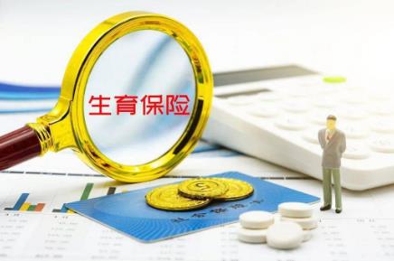生育金领取条件及标准2024