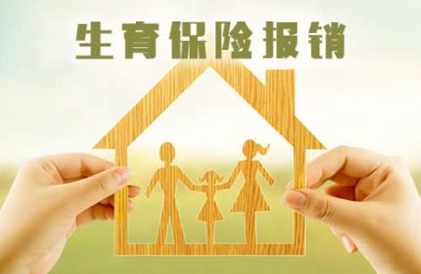 2024年生育险的报销标准最新
