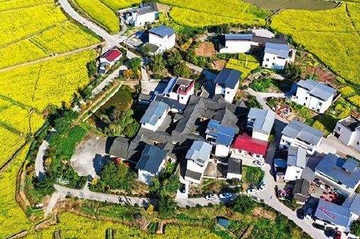 2024年宅基地建房新规