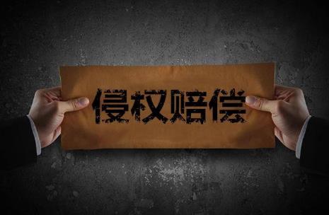 2024年专利侵权赔偿数额的确定标准