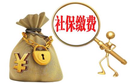 新型农村养老保险