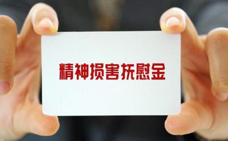 国家精神抚慰金赔偿标准