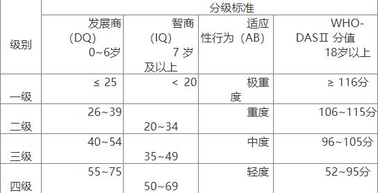 一二三四残疾补贴标准2024年