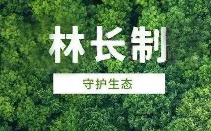 重庆市林长制办法2024全文