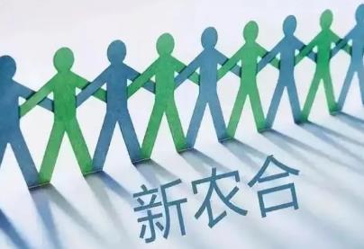 新农合缴费多少钱?什么时候开始交?
