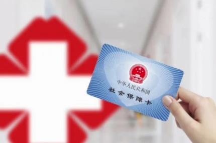 医疗保险怎么交费2024年