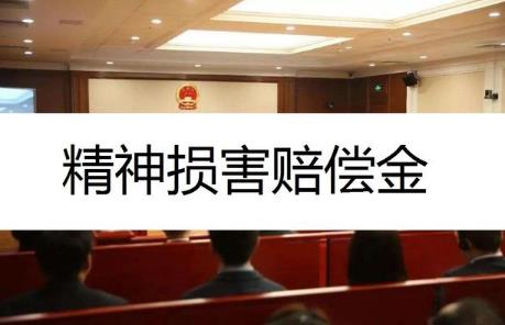 精神损失费赔偿标准最新2024年
