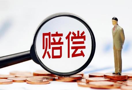 人道主义赔偿