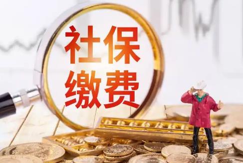 灵活就业人员社保缴费最新标准2025