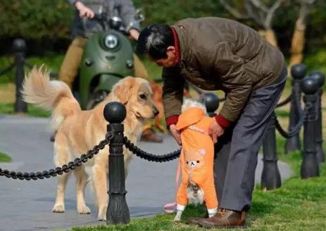 宿迁市养犬管理条例2025全文