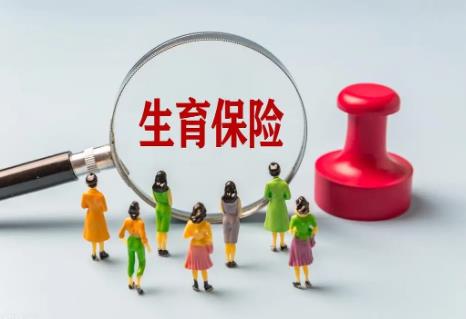 宁夏回族自治区人口与计划生育条例