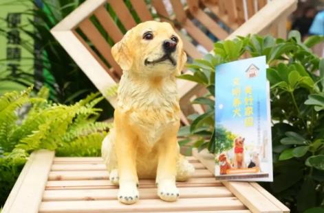 武汉市养犬管理条例2025全文