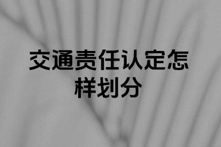 2025年交通法律法规责任划分大全