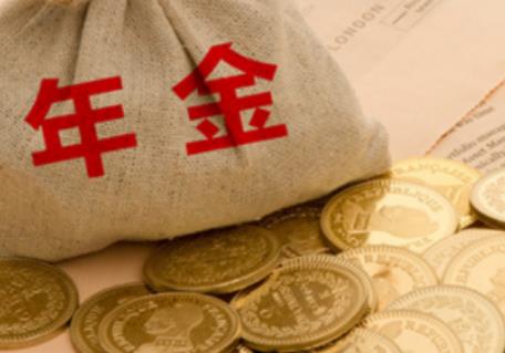 企业年金方案实施细则范本