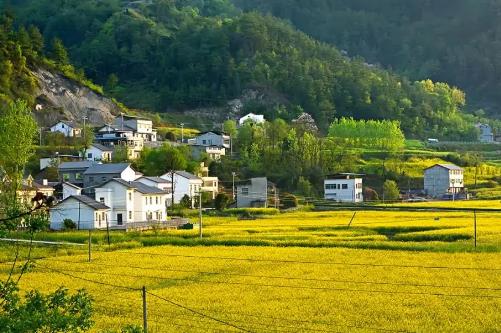 农村户口没有宅基地怎么办?怎么申请?