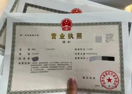 促进个体工商户发展条例2025全文