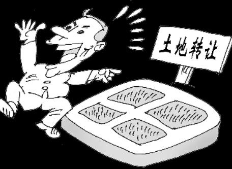 非法转让倒卖土地使用权罪量刑标准2025最新