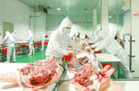 淄博市生猪屠宰管理办法2025全文