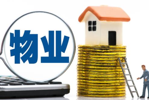 安康市物业服务与管理条例2025全文