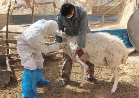 内蒙古自治区动物防疫条例2025全文