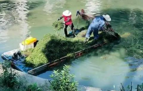 河道管理