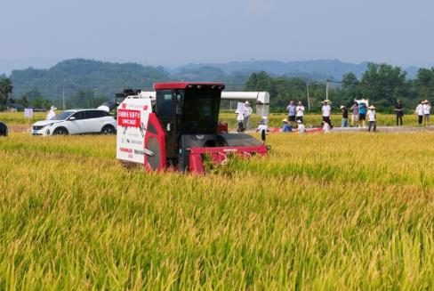 农业农村标准化