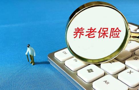 2025年农村养老保险缴费流程详解